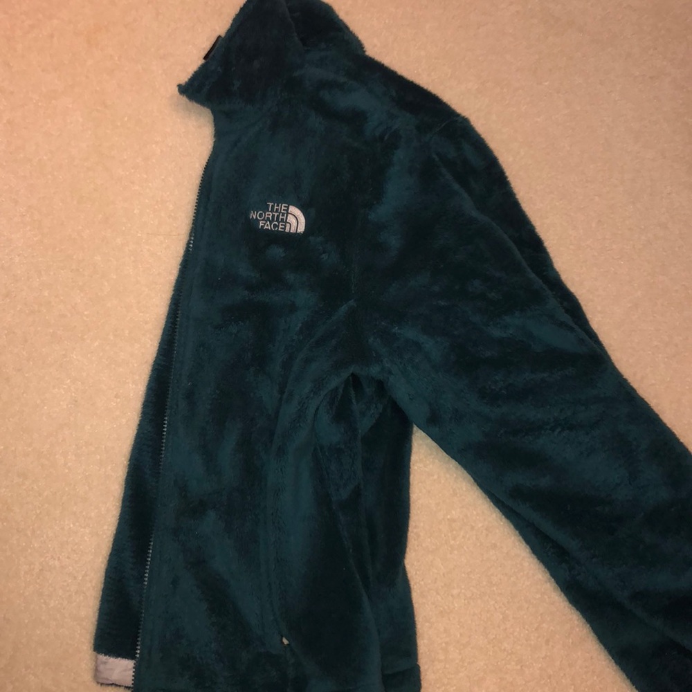 fuzzy north face